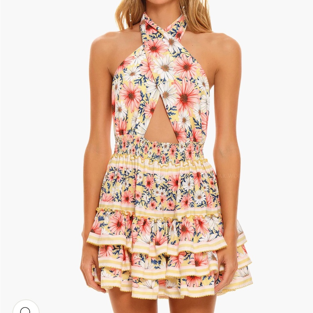 Agua Bonita Pink Floral and Yellow Striped Dress